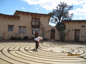 Who Seeds the Oyster Shell